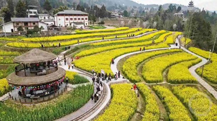 美景随春至 古村迎客来