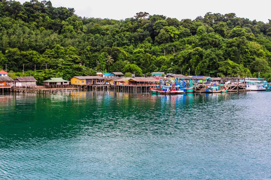又一个首富移民外国，却还控制了一家百亿药企，在中国年赚十几亿