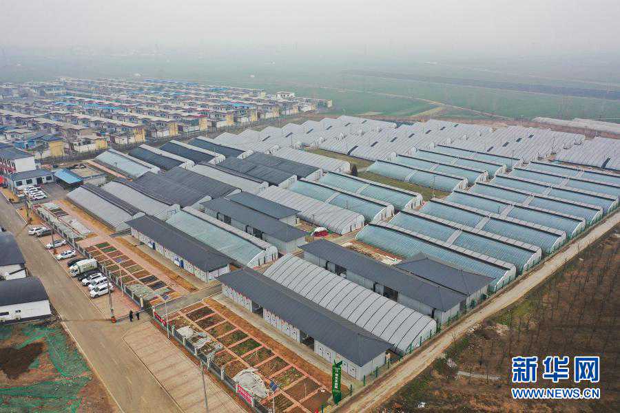 象爸爸带着小象“入境”啦！